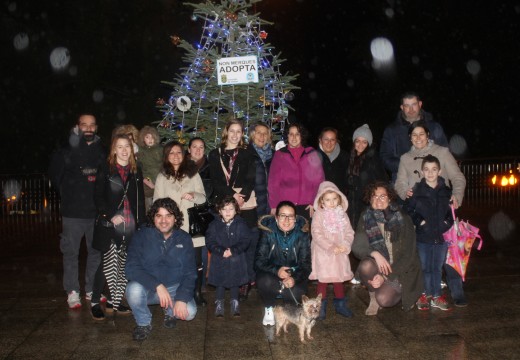 Membros da asociación ‘Amigos da canceira de Ordes’ instalan a súa árbore de Nadal na Alameda de Ordes